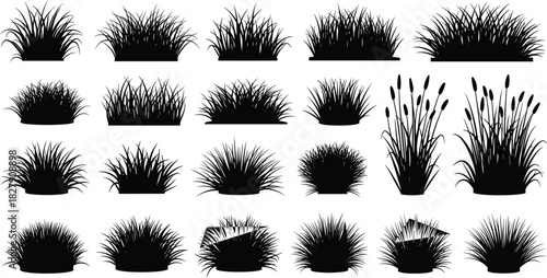 Silhouettes of natural green grass tufts, tall reeds, and wild herbaceous plants set for digital drawing, flat vector illustration, design elements, and organic lawn icons