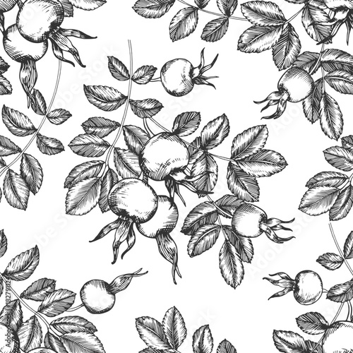Rosehip seamless pattern. Branch with berries and leaves. Vector illustration, hand-drawn in ink. Graphic sketch isolated on a white background. Design element for tea labels, cosmetics, cards