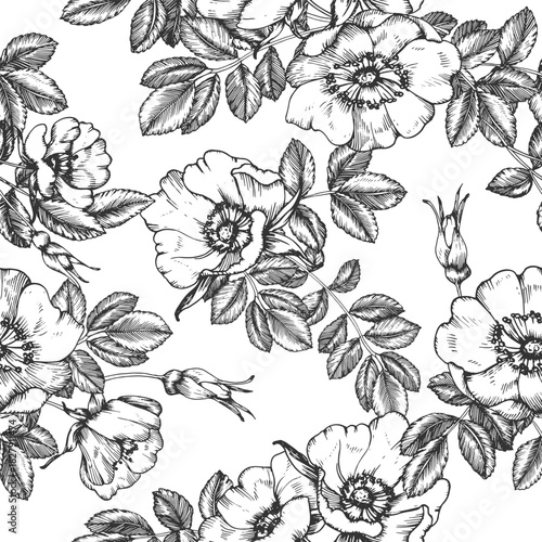 Rosehip hand-drawn ink vector seamless pattern. Ornament with flowers, leaves, and buds. Element for packaging and label design for tea and cosmetics.