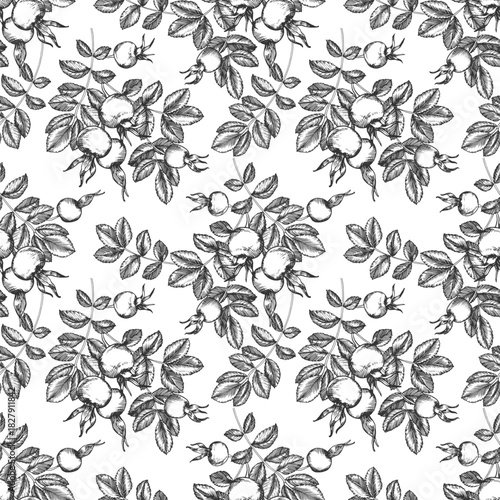 Rosehip seamless pattern. Branch with berries and leaves. Vector illustration, hand-drawn in ink. Graphic sketch isolated on a white background. Design element for tea labels, cosmetics, cards