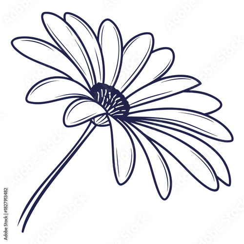 Elegant dark blue outline of a daisy flower on white background