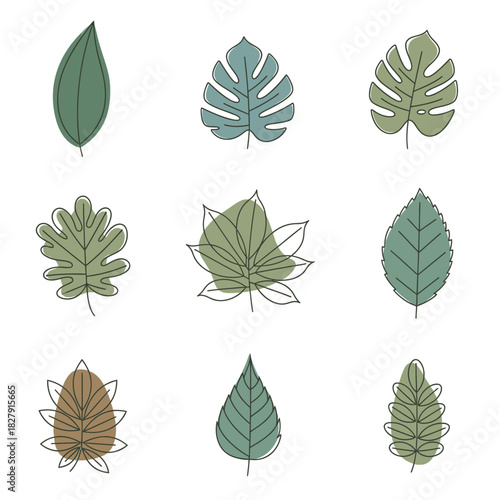Botanical Leaf Collection - Diverse Greenery in Artistic Line Drawings.
