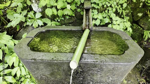 A vintage stone water basin nestled in green grass, featuring a bamboo water pipe.