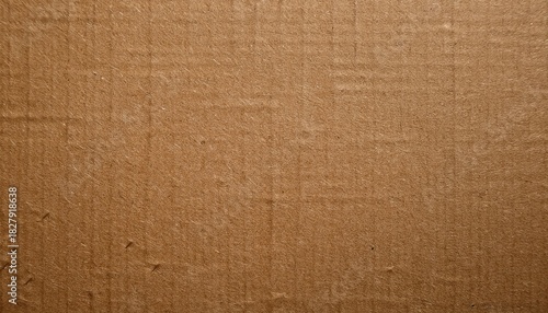 Raw Kraft Board Material Texture