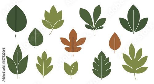 Diverse Leaf Collection - Botanical Vector Art.