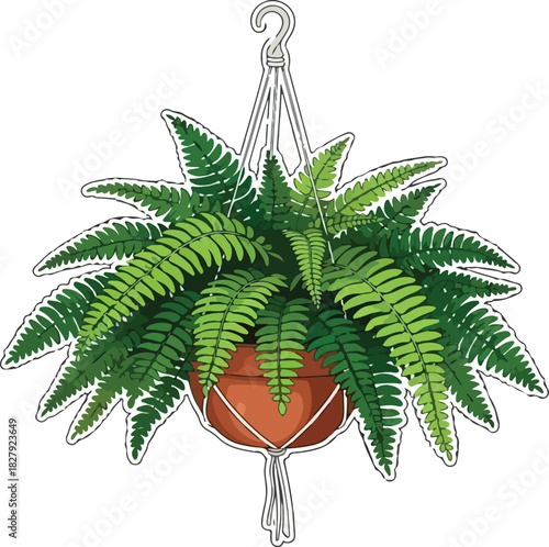 leaf, isolated, fern, hemp, flower, branch, addiction, palm, illegal, herb, medicine, tree, marijuana, plant, green, nature, cannabis, leaves, marihuana, grass, narcotic, medical, forest, drug, white