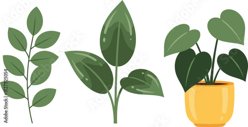 Minimal indoor houseplant vector set featuring green leafy plants in modern flat style, perfect for home decor, interior design, and botanical illustrations.