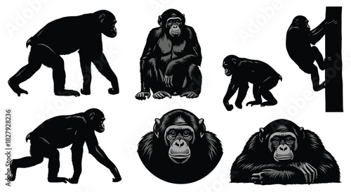 Chimpanzee silhouettes in different poses, walking, sitting, and climbing