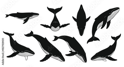 Whale silhouettes in various poses and angles