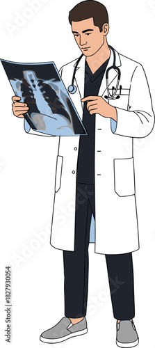 Doctor examining X-ray illustration, medical professional pose, healthcare diagnostics, white coat, stethoscope, chest radiograph, vector drawing art