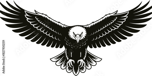 Eagle flying with wings spread