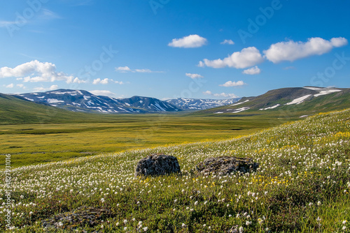 vast tundra transitioning from icy white to vibrant green as spring awakens