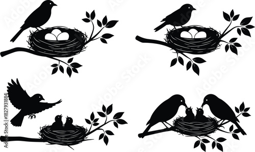 Silhouette set of birds with nests and eggs on tree branches, parents feeding baby chicks vector illustration for spring nature and wildlife design.