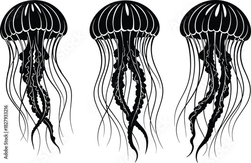 Detailed black silhouette collection of swimming jellyfish, marine life vector illustration for ocean theme design, tattoo art, and scientific biology print.