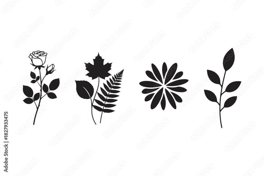 Naklejka premium Collection of black and white botanical illustrations of flowers and leaves