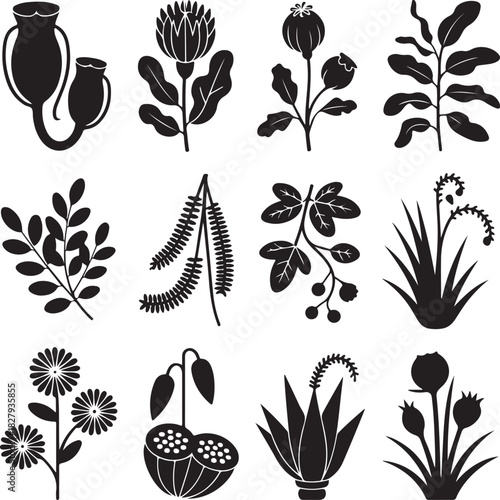 Botanical Black Silhouettes Collection Vector Art for Design and Illustration