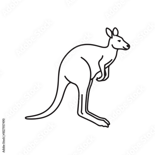 Kangaroo jumping outline vector flat illustration