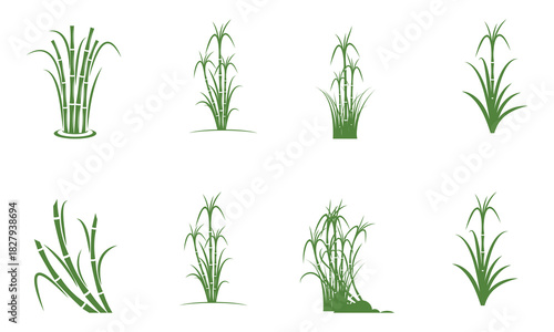 Green Sugarcane and Bamboo Plant Icons Collection