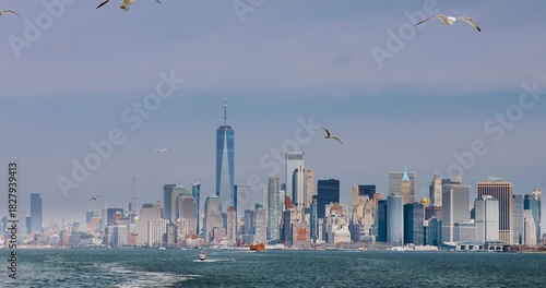 Wallpaper Mural New York City Skyline – Seagulls Flying Over Manhattan on a Bright Winter Day Torontodigital.ca