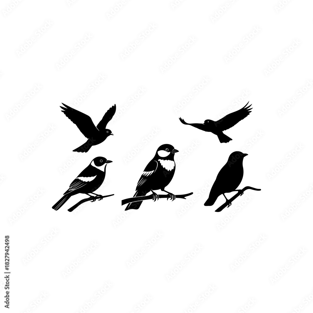 Obraz premium Bird silhouettes