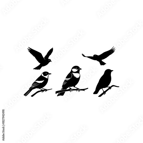 Bird silhouettes