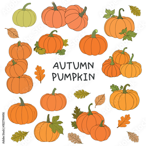 Pumpkin Autumn Fall Set