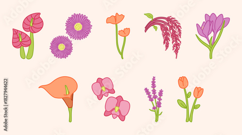 Spring Summer Flowers Blossom. Sticker Flower. Element Decoration: Tulip, Orchid, Calla Lily, Amaranth, Lavender, Crocus, Peony, Aster, Anthurium. Flat Design 2D.