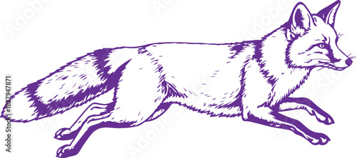 Running fox illustration in purple outline vector Illustration