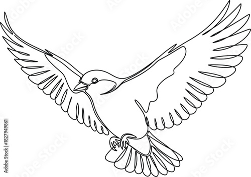Single line drawing of a bird in flight with outstretched wings on white background