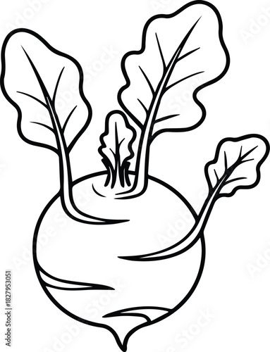 Minimalist hand drawn kohlrabi outline icon vector