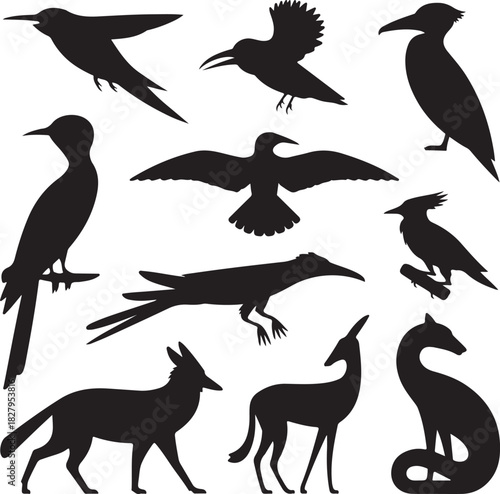 Collection of wildlife black silhouettes birds and mammals isolated on white