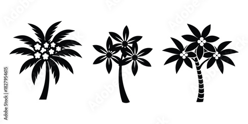 Tropical Palm Trees Set Black Silhouette Vector Illustration for Exotic Summer Vacation