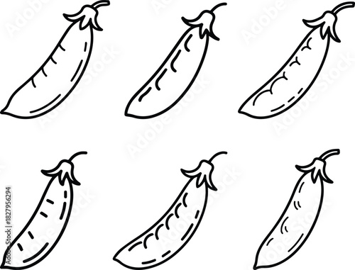 Set of Minimalist hand drawn snow pea outline icon vector