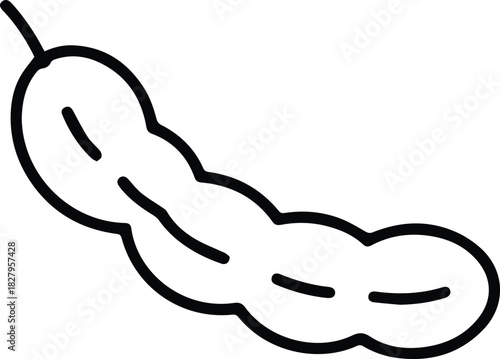 Minimalist hand drawn tamarind pod outline icon vector
