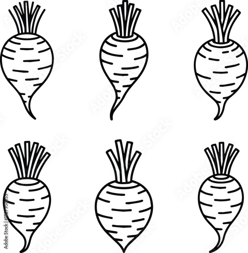 Set of Minimalist hand drawn taro root outline icon vector