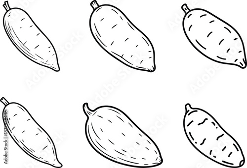 Set of Minimalist hand drawn yam root outline icon vector