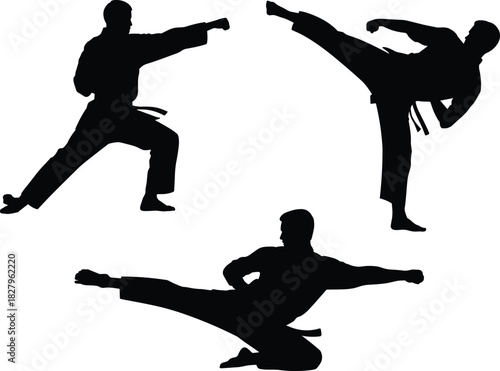 Martial arts silhouettes of male fighters performing powerful kicks and punches, dynamic karate action poses, combat training stances for illustration and design