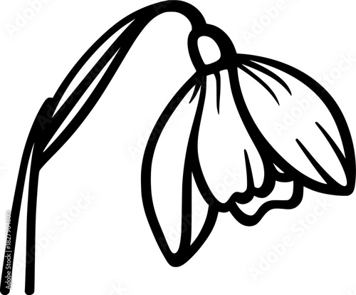 Whispers Spring: Black White Illustration Snowdrop Flower | Clean, isolated vector art for creative projects.