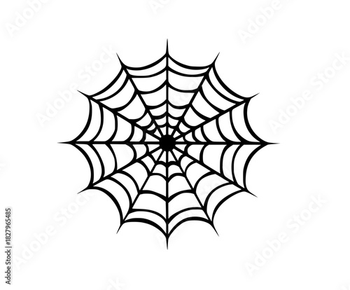 black white spider's web intricate patterns, symbol complexity connection. | Clean, isolated vector art for creative projects.