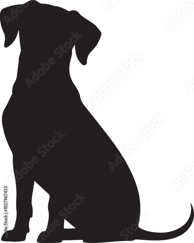 Silhouette of a sitting dog with floppy ears against white background