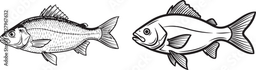 a fish sketch illustration vector, Hand drawn sketch of a fish line art on white background.