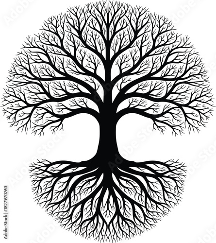 Black tree of life silhouette with detailed roots and branches, circular vector illustration, ancient celtic nature symbol, isolated concept for logo design, tattoo art, genealogy