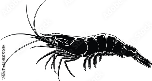 Detailed black vector illustration of a whole shrimp or prawn, showcasing aquatic wildlife, seafood, cooking ingredient, marine animal, fishing industry, and restaurant menu graphic element.