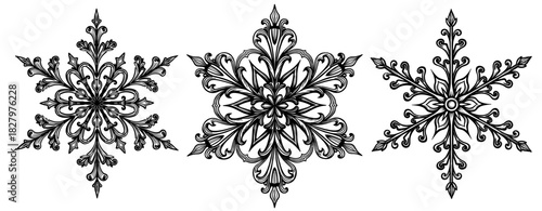 Decorative snowflake set with intricate symmetrical shapes Concept of winter design and Christmas pattern - holiday - seasonal