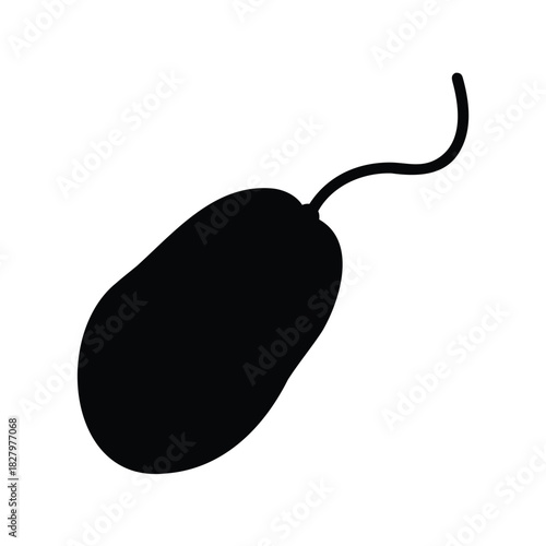 Black silhouette of a computer mouse isolated on a white background.
