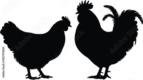 Hen and rooster silhouette, poultry pair, black and white, farm animals, facing pose, feather detail, rural theme, bird comparison