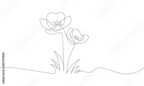 A simple continuous line art illustration of two blooming poppy flowers with stems and leaves.