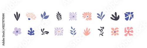 Modern hand drawn plant leaf and flowers decoration set. Collection abstract flowers organic nature shapes exotic tropical leaves trendy, vector illustration.