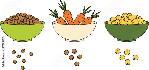 Healthy Food Bowls Vector Lentils, Carrots, and Chickpeas Illustration for Nutrition and Diet