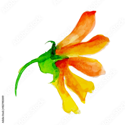 Floral Watercolor: A vibrant close-up captures a beautifully painted flower, exhibiting the delicate artistry of watercolor. A harmonious blend of orange and yellow hues.